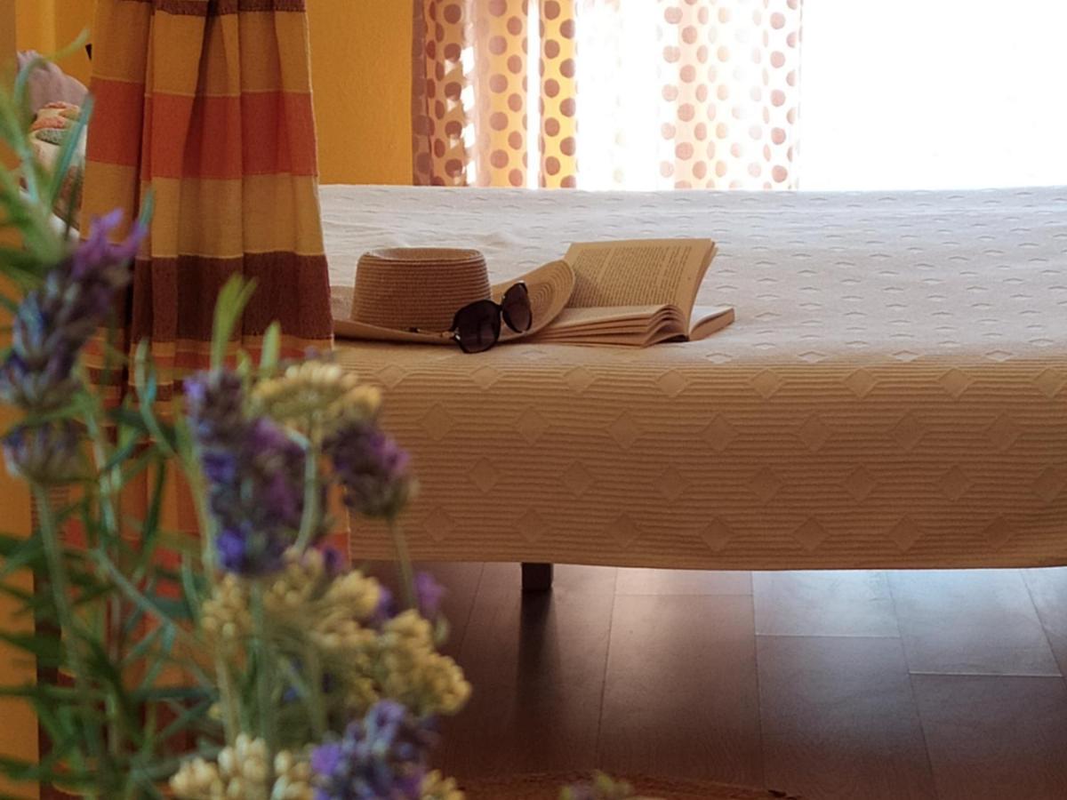 Cozy Apartments Danica Novalja With Terrace - First Floor المظهر الخارجي الصورة