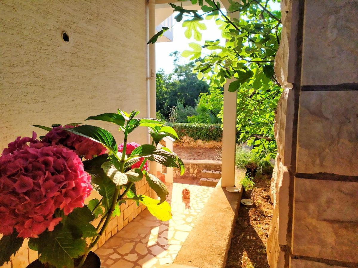 Cozy Apartments Danica Novalja With Terrace - First Floor المظهر الخارجي الصورة