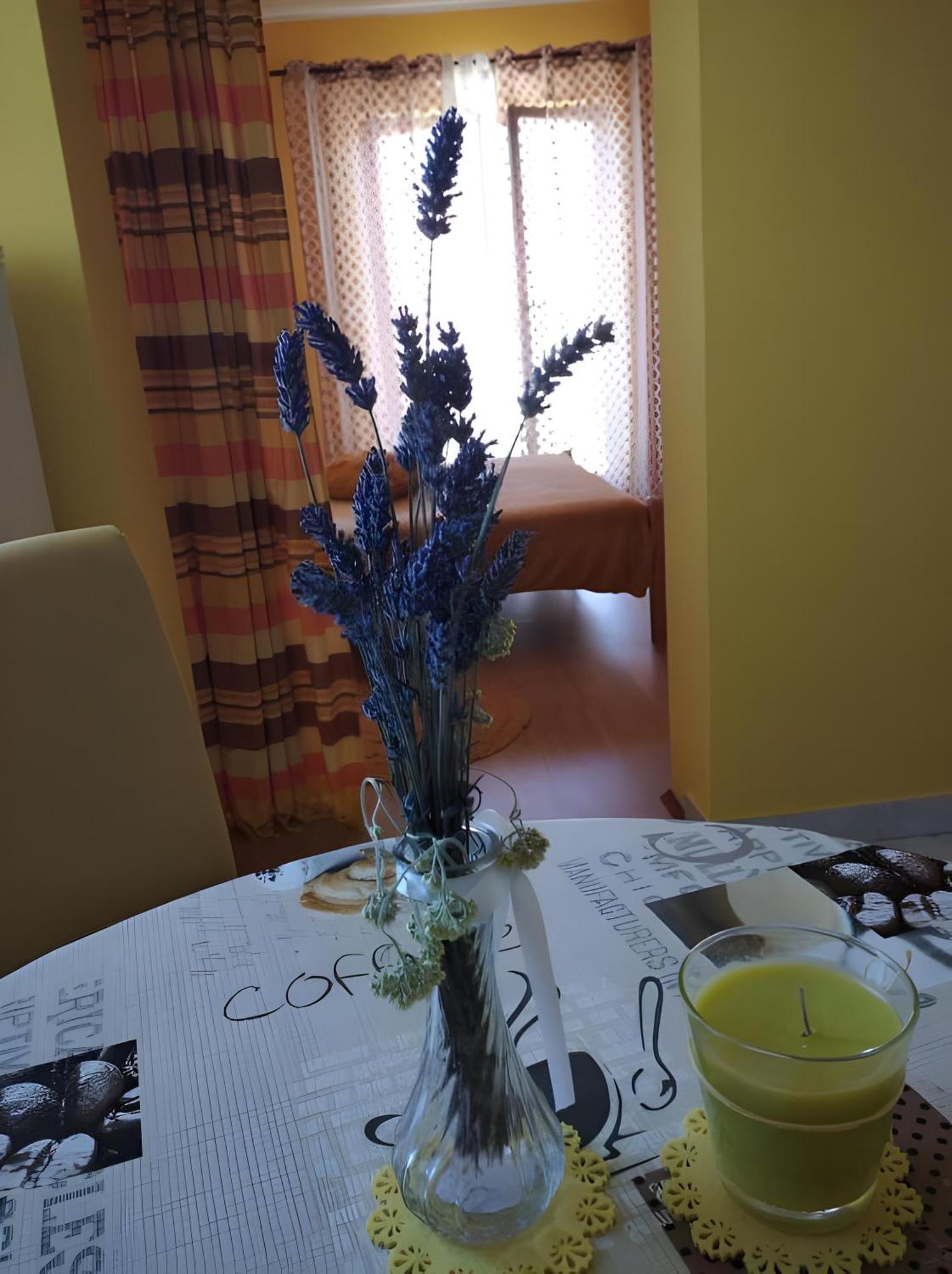 Cozy Apartments Danica Novalja With Terrace - First Floor المظهر الخارجي الصورة