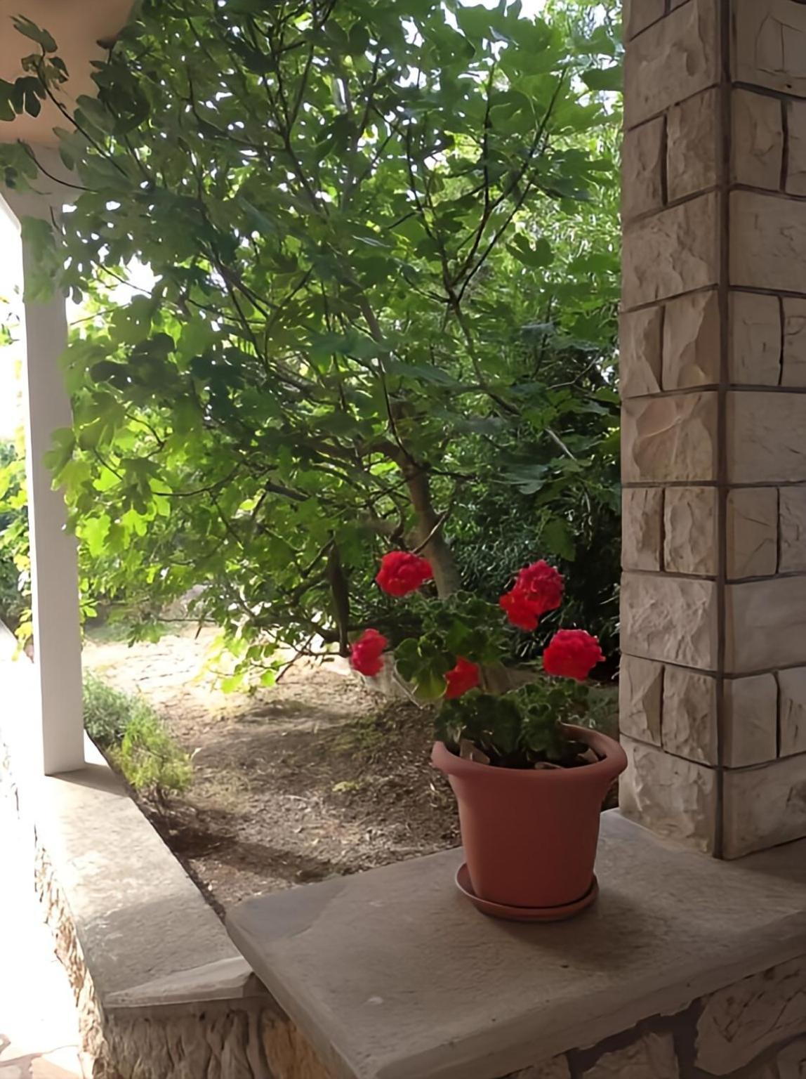 Cozy Apartments Danica Novalja With Terrace - First Floor المظهر الخارجي الصورة