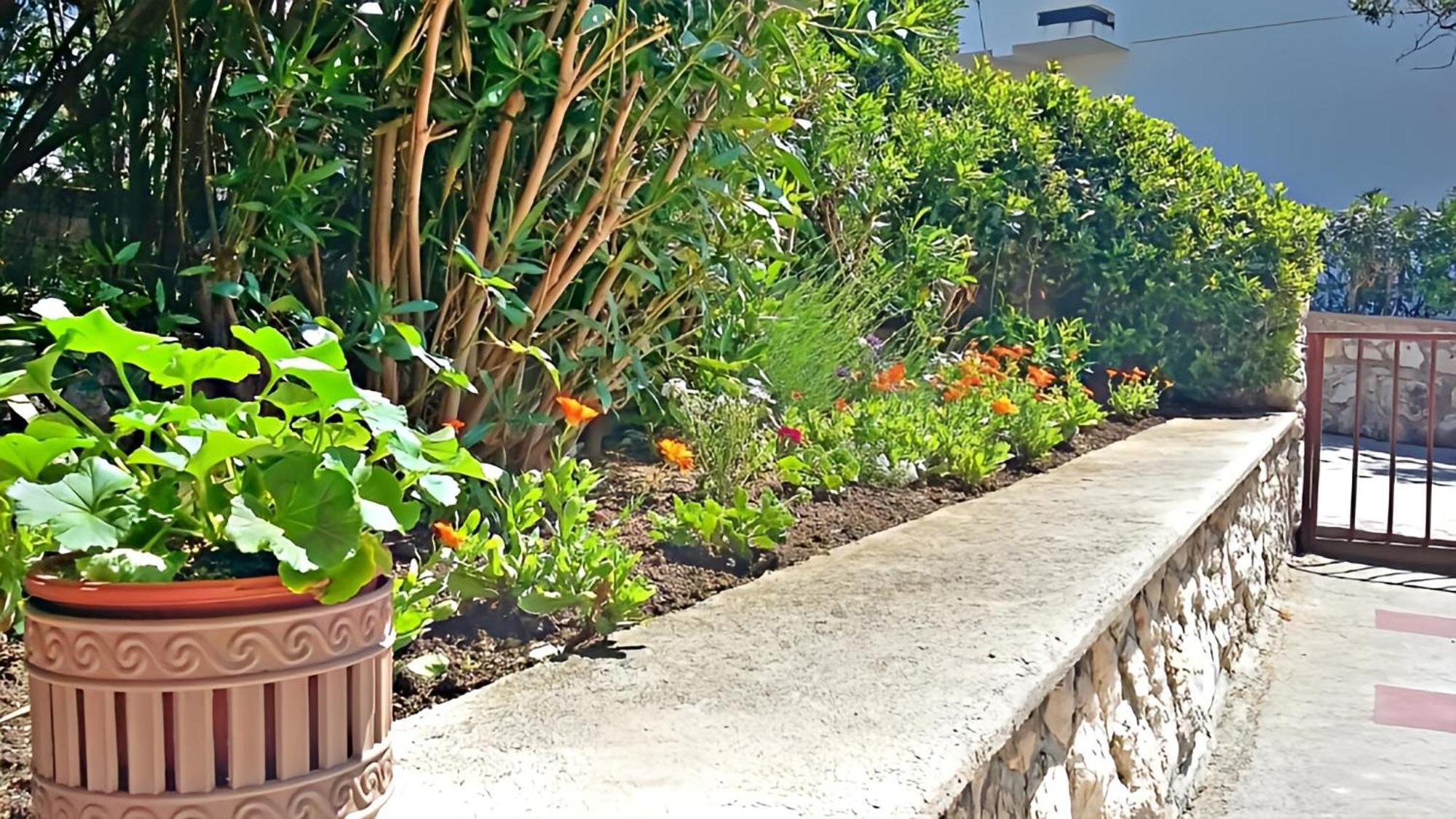 Cozy Apartments Danica Novalja With Terrace - First Floor المظهر الخارجي الصورة